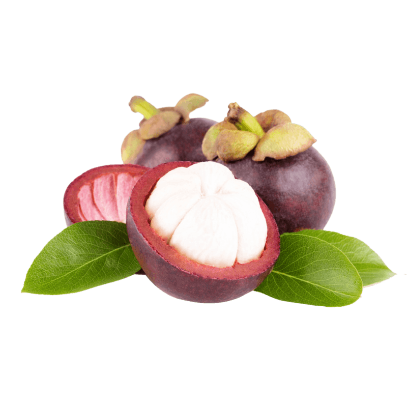 Mangosteen